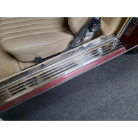 Instaplijsten set Edelstaal